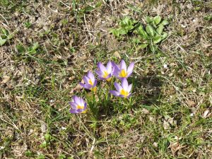 DSCF3971